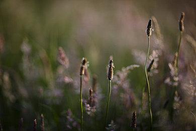 《切尔诺贝利人：完全版》宣布登陆Switch 发售日期待定